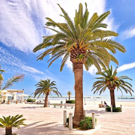 Carmen House Apartamento *