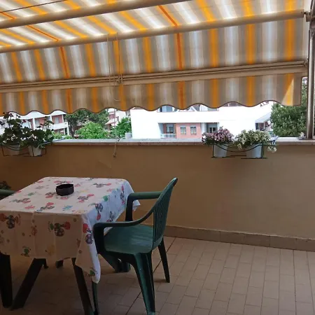 Appartement Carmen House *